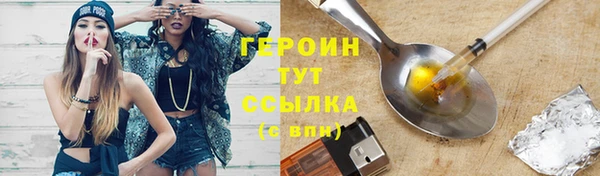 мдпв Осташков