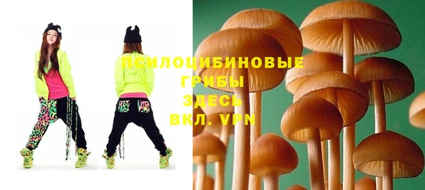гашик Остров