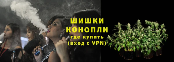 трава Осинники