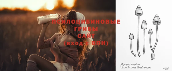 трава Осинники