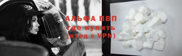 мдпв Осташков