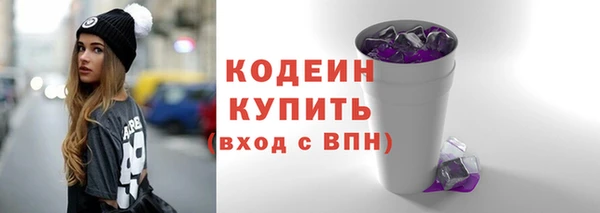 мдпв Осташков
