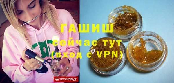 мдпв Осташков