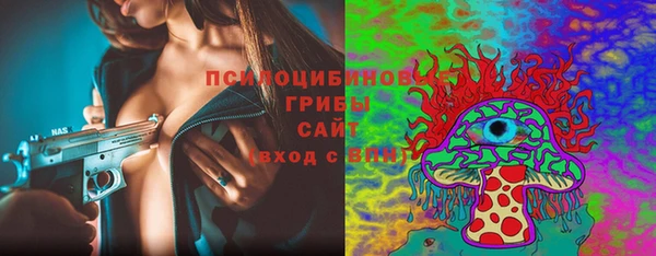 трава Осинники