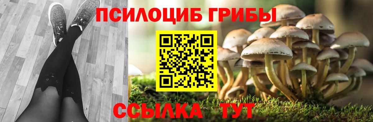 Псилоцибиновые грибы Magic Shrooms Ржев